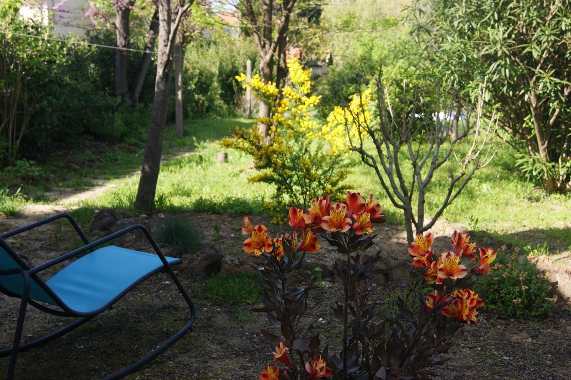 Le Petit Moliere Bed & Breakfast Servian Exterior photo